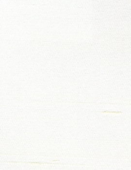 07) 7507