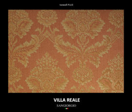 VILLA REALE_21